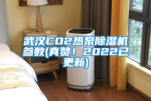 武汉CO2热泵91香蕉视频下载网站参数(真赞！2022已更新)