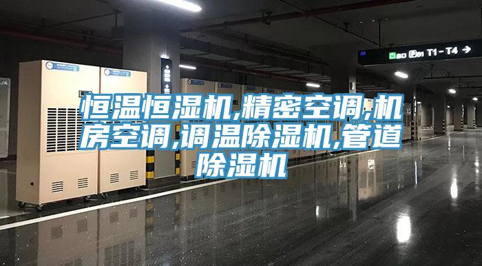 恒温恒湿机,精密空调,机房空调,调温91香蕉视频下载网站,管道91香蕉视频下载网站