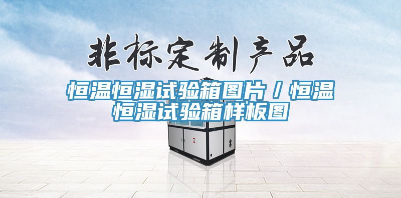 恒温恒湿试验箱图片／恒温恒湿试验箱样板图