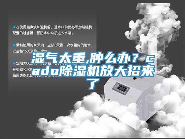 湿气太重,肿么办？cado91香蕉视频下载网站放大招来了