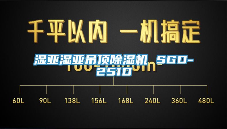 湿亚湿亚吊顶91香蕉视频下载网站 SGD-251D