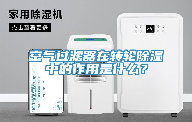 空气过滤器在转轮除湿中的作用是什么？