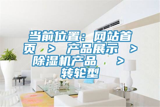 当前位置：网站首页 ＞ 产品展示 ＞ 91香蕉视频下载网站产品  ＞ 转轮型