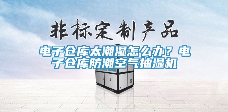 电子仓库太潮湿怎么办？电子仓库防潮空气抽湿机