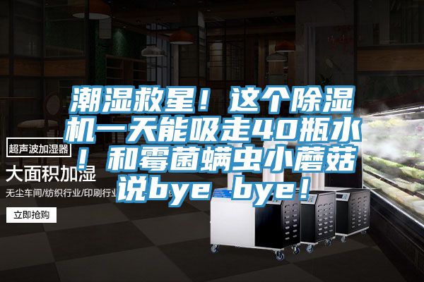 潮湿救星！这个91香蕉视频下载网站一天能吸走40瓶水！和霉菌螨虫小蘑菇说bye bye！