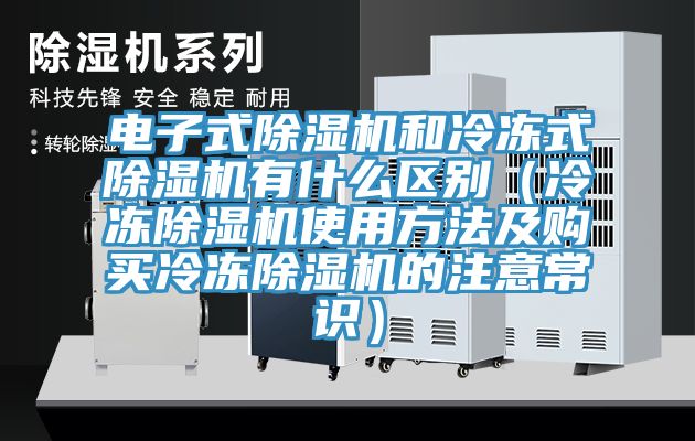 电子式91香蕉视频下载网站和冷冻式91香蕉视频下载网站有什么区别（冷冻91香蕉视频下载网站使用方法及购买冷冻91香蕉视频下载网站的注意常识）