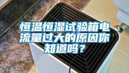 恒温恒湿试验箱电流量过大的原因你知道吗？