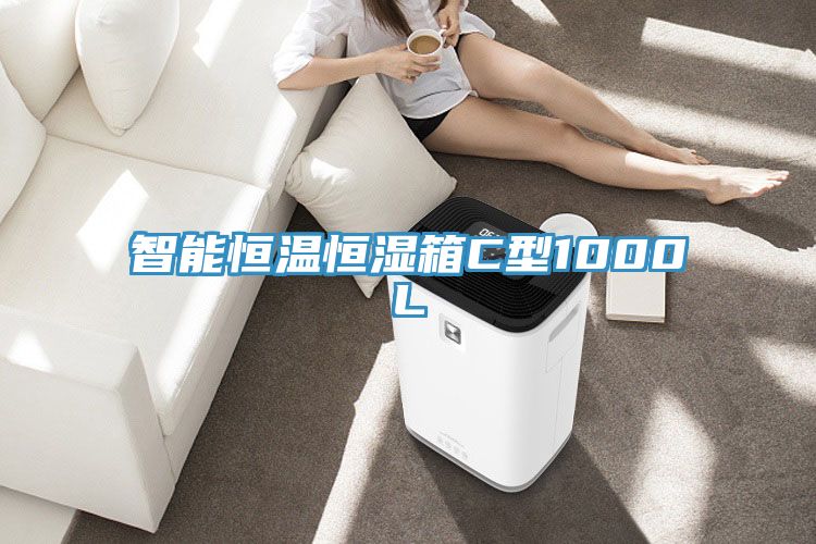 智能恒温恒湿箱C型1000L