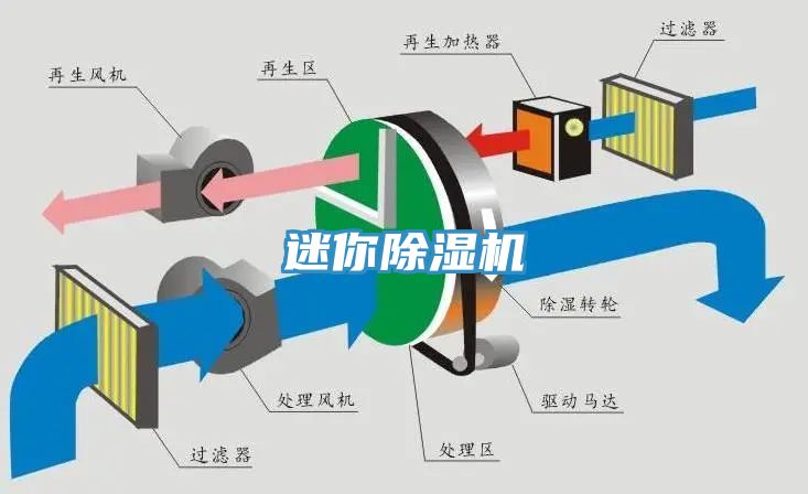 迷你91香蕉视频下载网站