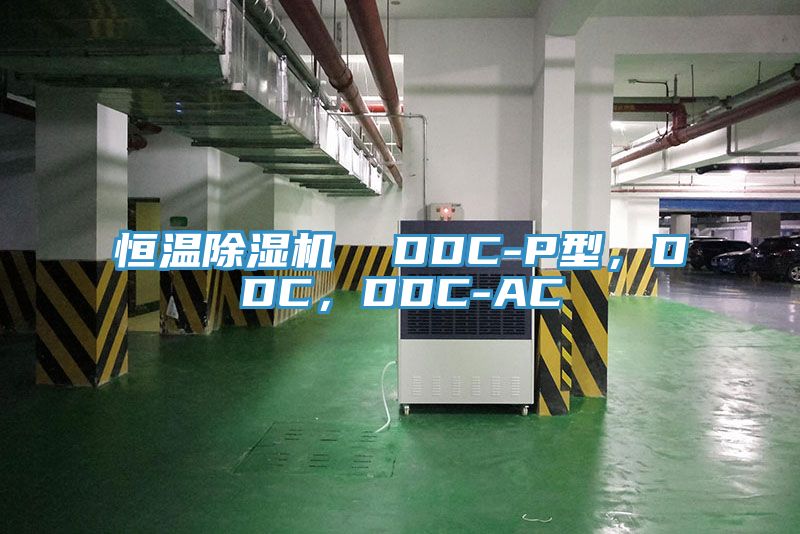 恒温91香蕉视频下载网站  DDC-P型，DDC，DDC-AC