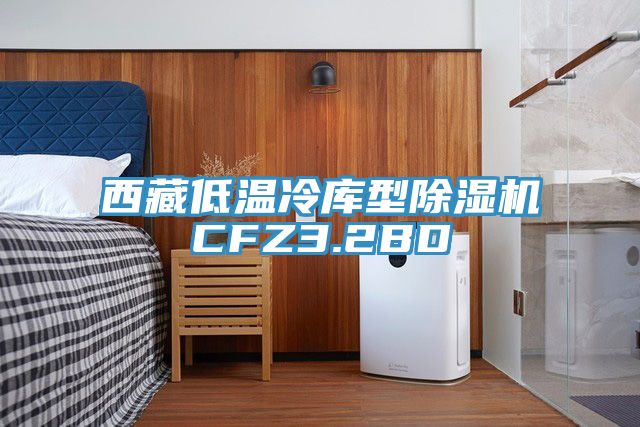 西藏低温冷库型91香蕉视频下载网站CFZ3.2BD