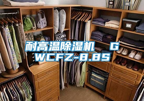 耐高温91香蕉视频下载网站  GWCFZ-8.8S