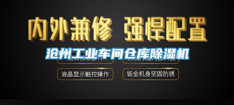 沧州工业车间仓库91香蕉视频下载网站