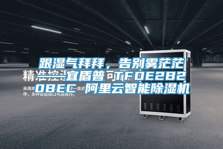 跟湿气拜拜，告别雾茫茫——宜盾普 TFDE2B20BEC 阿里云智能91香蕉视频下载网站