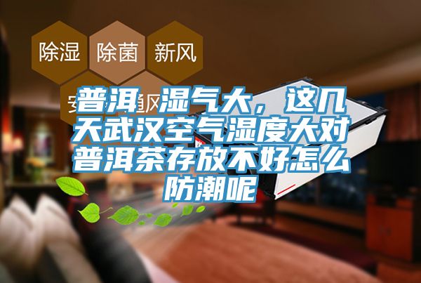 普洱 湿气大，这几天武汉空气湿度大对普洱茶存放不好怎么防潮呢