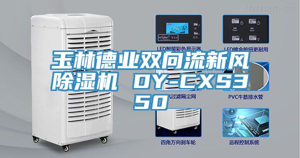 玉林德业双向流新风91香蕉视频下载网站 DY-CXS350