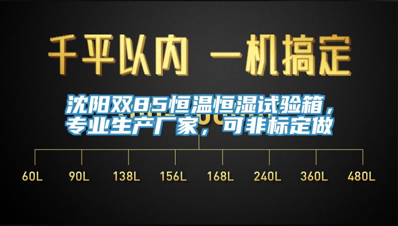 沈阳双85恒温恒湿试验箱，专业生产厂家，可非标定做