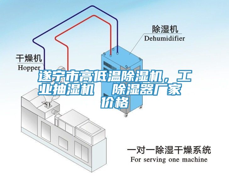 遂宁市高低温91香蕉视频下载网站，工业抽湿机  除湿器厂家 价格