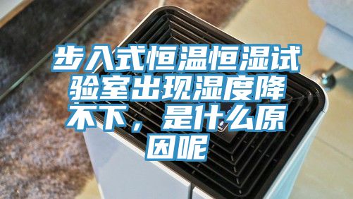 步入式恒温恒湿试验室出现湿度降不下，是什么原因呢