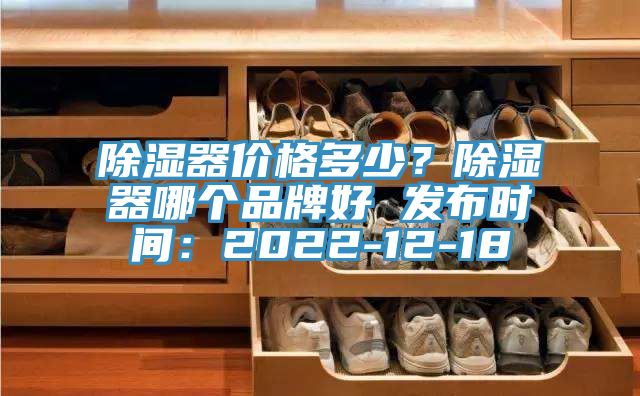 除湿器价格多少？除湿器哪个品牌好 发布时间：2022-12-18