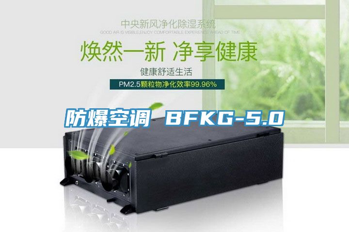 防爆空调 BFKG-5.0