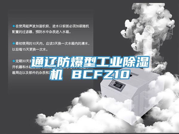 通辽防爆型工业91香蕉视频下载网站 BCFZ10