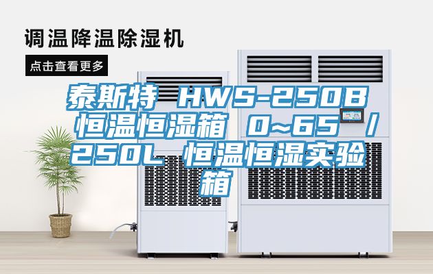 泰斯特 HWS-250B 恒温恒湿箱 0~65℃／250L 恒温恒湿实验箱