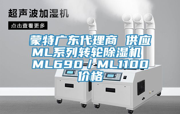 蒙特广东代理商 供应ML系列转轮91香蕉视频下载网站 ML690／ML1100价格