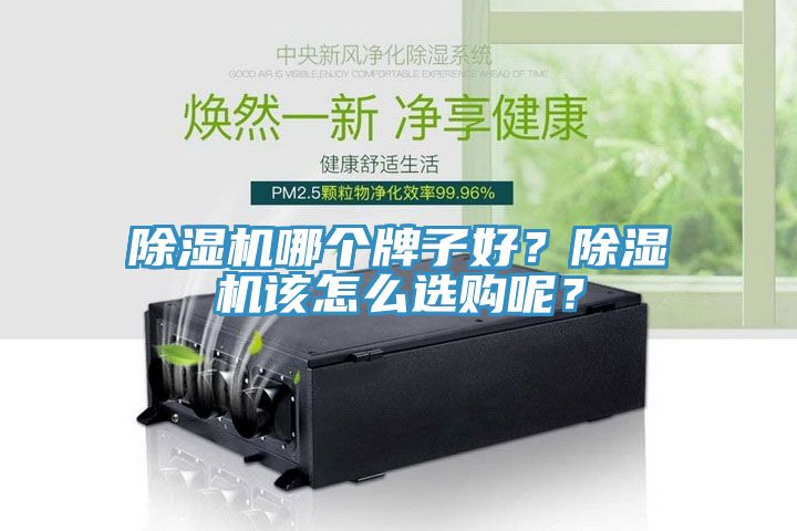 91香蕉视频下载网站哪个牌子好？91香蕉视频下载网站该怎么选购呢？