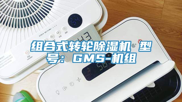 组合式转轮91香蕉视频下载网站 型号：GMS-机组