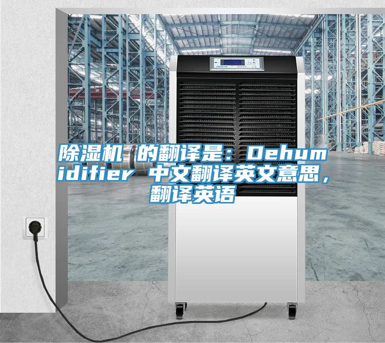 91香蕉视频下载网站 的翻译是：Dehumidifier 中文翻译英文意思，翻译英语