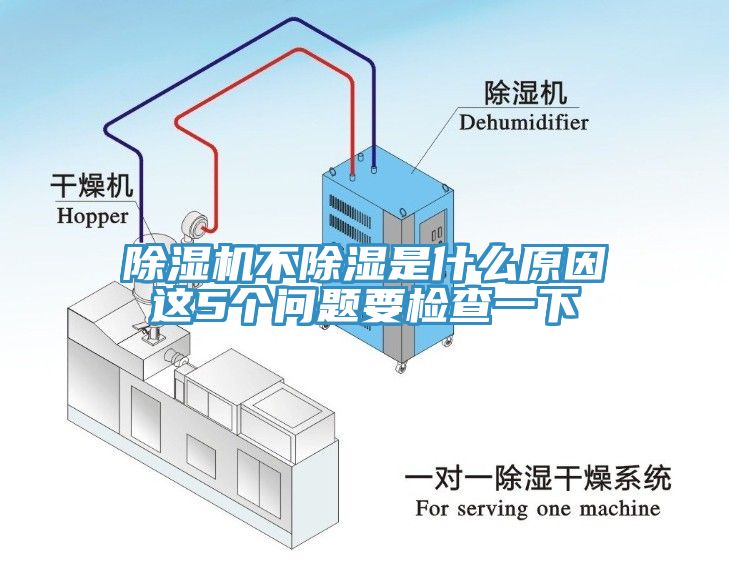 91香蕉视频下载网站不除湿是什么原因这5个问题要检查一下