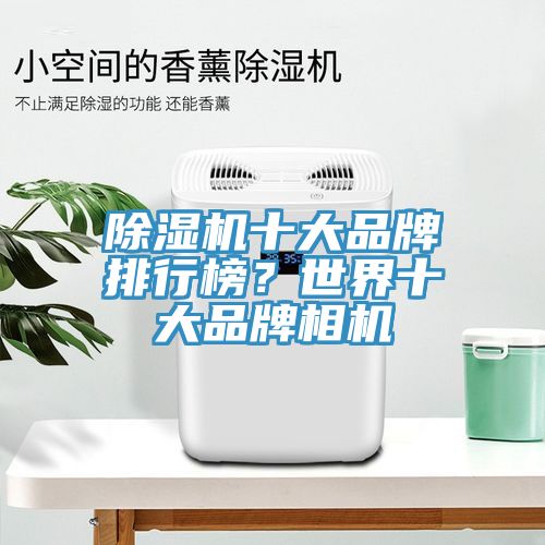 91香蕉视频下载网站十大品牌排行榜？世界十大品牌相机