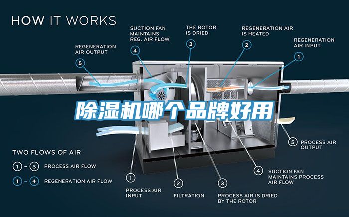 91香蕉视频下载网站哪个品牌好用