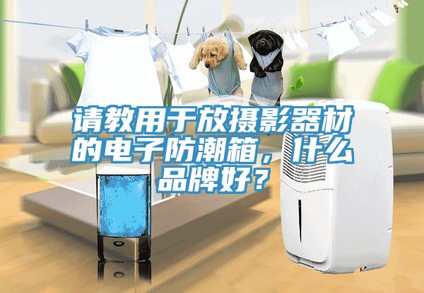 请教用于放摄影器材的电子防潮箱，什么品牌好？