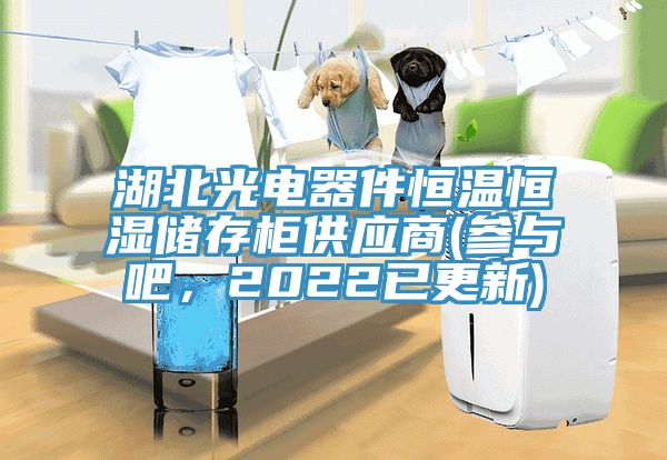 湖北光电器件恒温恒湿储存柜供应商(参与吧，2022已更新)