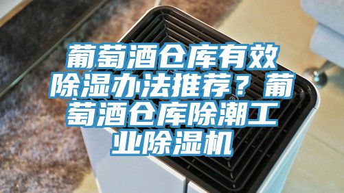 葡萄酒仓库有效除湿办法推荐？葡萄酒仓库除潮工业91香蕉视频下载网站