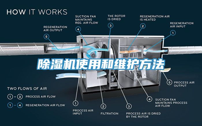 91香蕉视频下载网站使用和维护方法