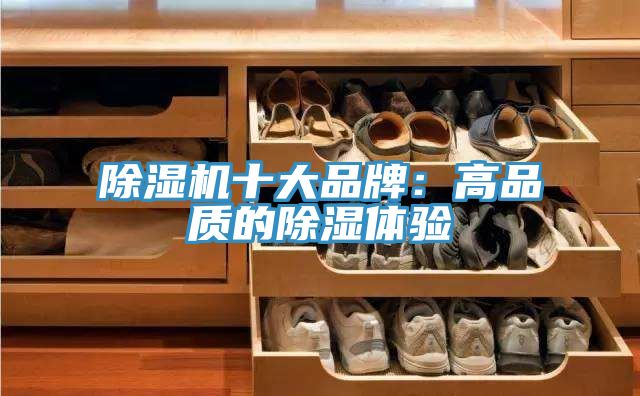 91香蕉视频下载网站十大品牌：高品质的除湿体验