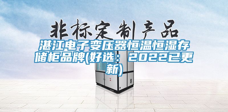 湛江电子变压器恒温恒湿存储柜品牌(好选：2022已更新)