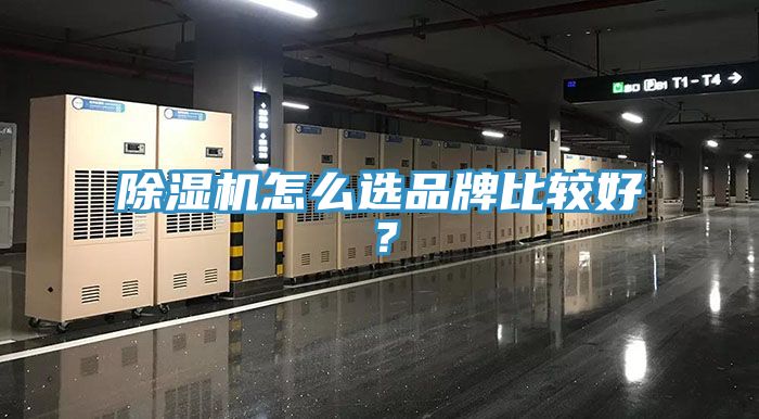 91香蕉视频下载网站怎么选品牌比较好？