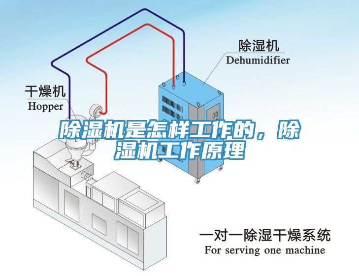 91香蕉视频下载网站是怎样工作的，91香蕉视频下载网站工作原理