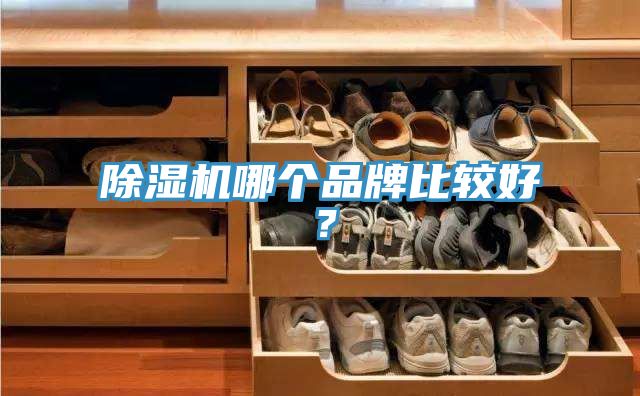 91香蕉视频下载网站哪个品牌比较好？