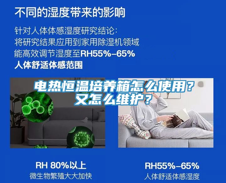 电热恒温培养箱怎么使用？又怎么维护？