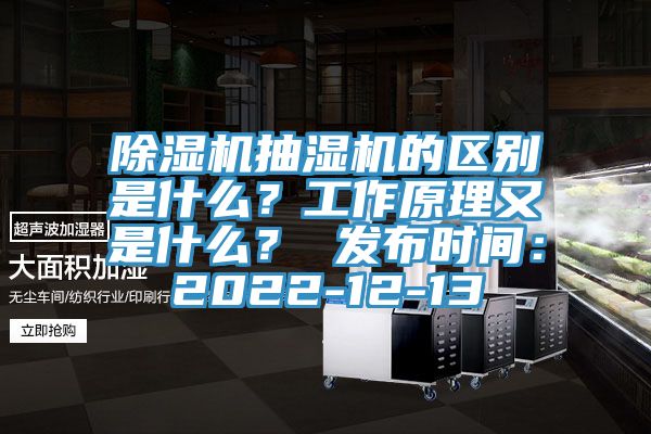 91香蕉视频下载网站抽湿机的区别是什么？工作原理又是什么？ 发布时间：2022-12-13