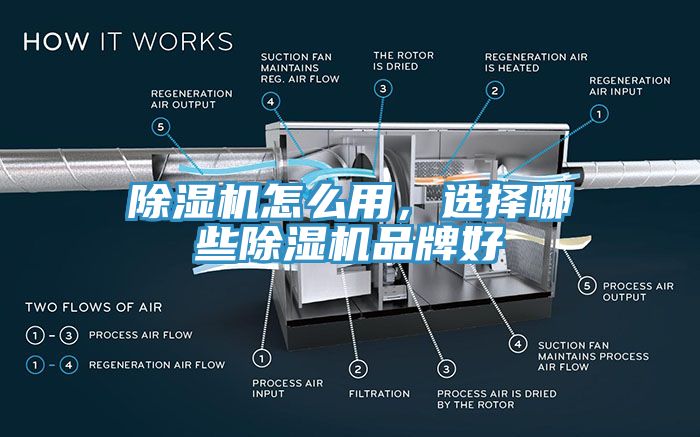 91香蕉视频下载网站怎么用，选择哪些91香蕉视频下载网站品牌好